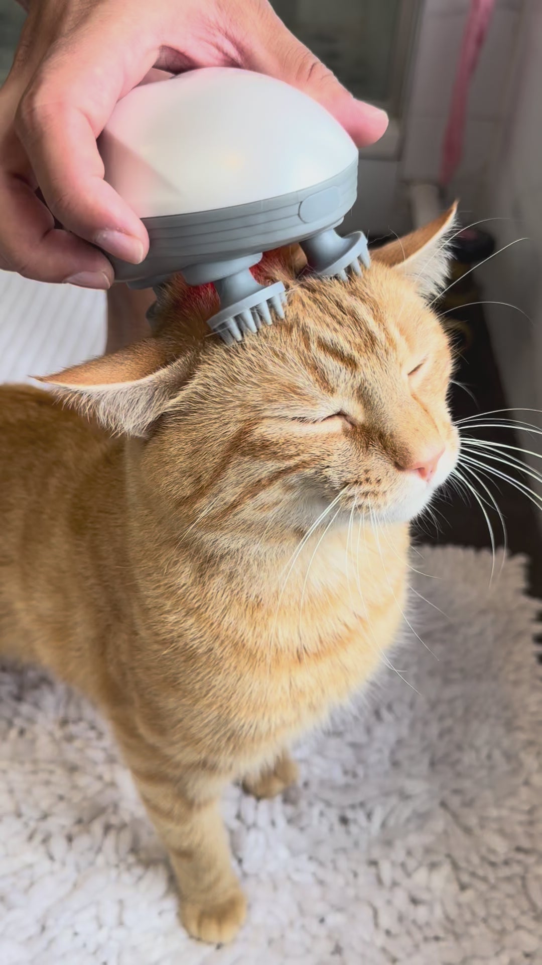 Furbella Pet Scalp Massager 2.0 — Electric Massager for Cats & Dogs, Relaxation & Grooming Tool